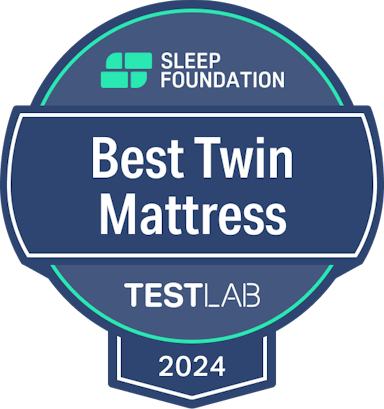 <p>Best Twin Mattress</p>