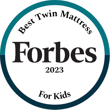 <p>Best Twin Mattress for Kids</p>
