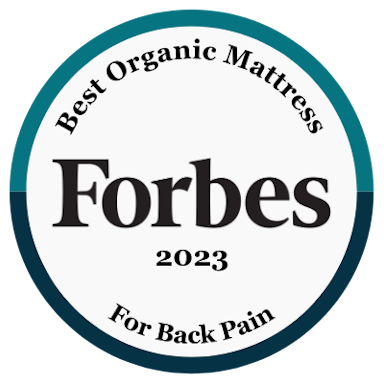 Best Organic Mattress for Back Pain 2023