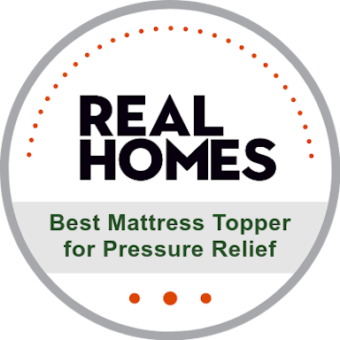 <p>Best Mattress Topper for Pressure Relief</p>